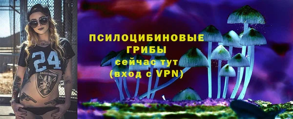 дмт Богородицк